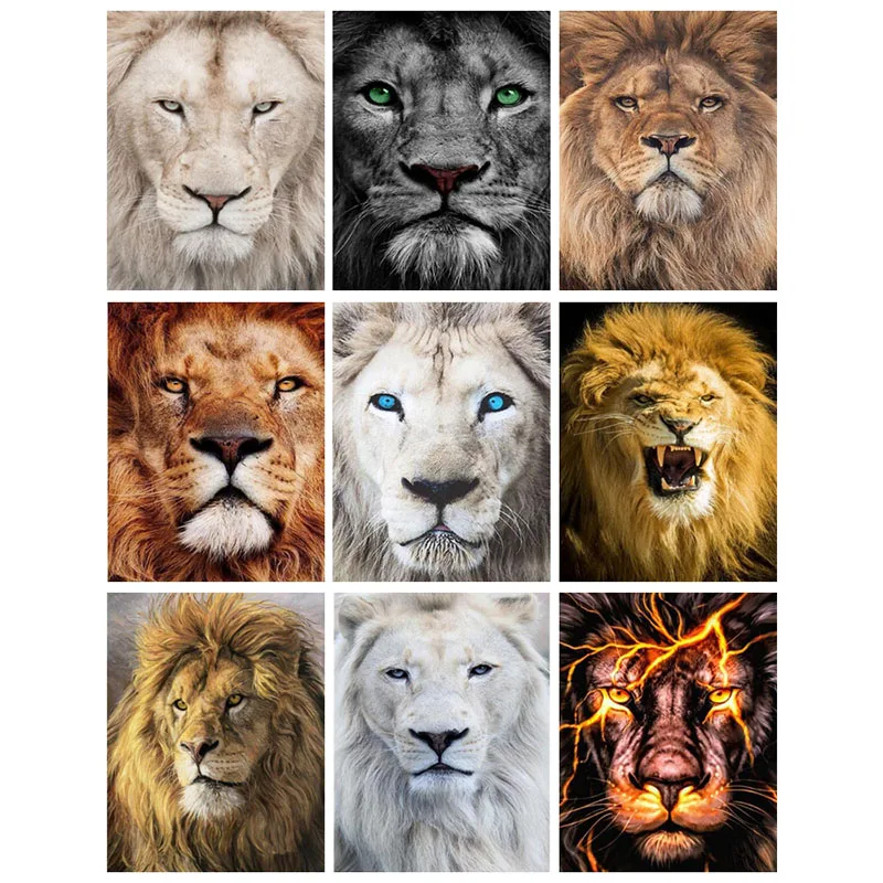 

Full Square/Round Drill 5D DIY Diamond Painting "Animal lion" Embroidery Cross Stitch 3D алмазная вышивка Home Decor ll505