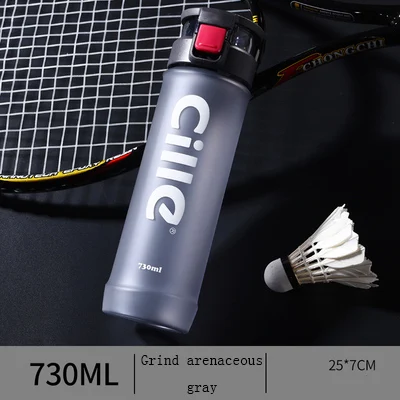 Opaque gray Переносная Спортивная бутылка пластиковые фляги бутылка для воды-730 мл, защита от утечки, без бпа, для наружного кемпинга пешего туризма питьевой чай сок - Цвет: Opaque gray