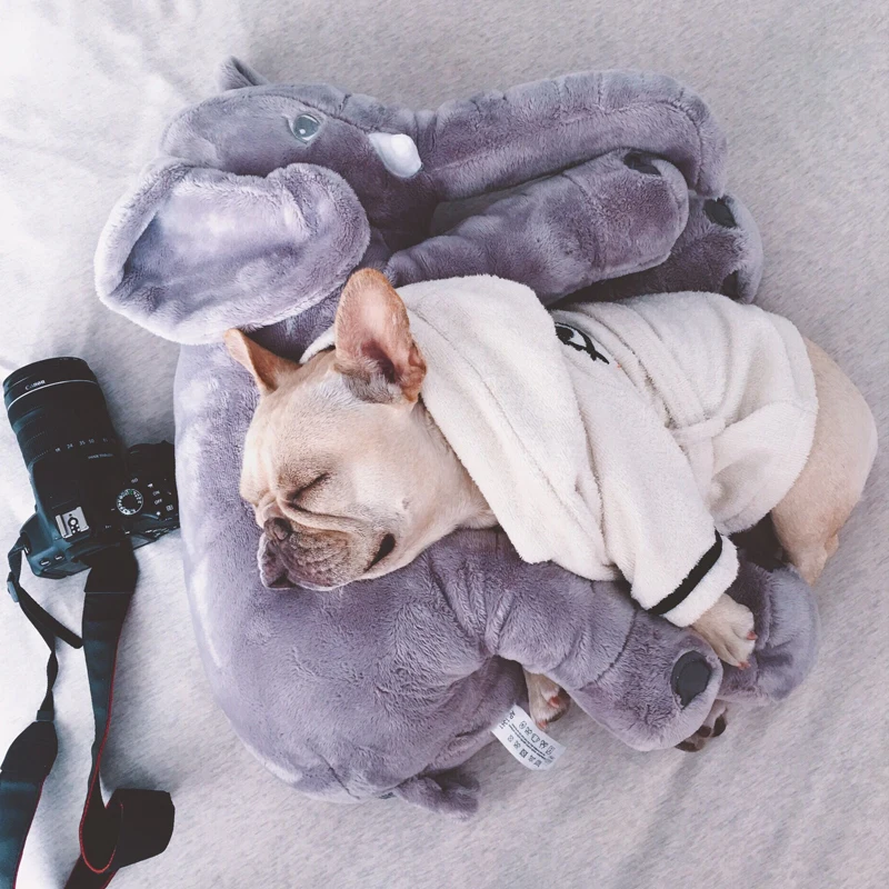 

Игрушечная Подушка «Слон The Law Of The Boy Bucket Cokteddy Dog Bit»