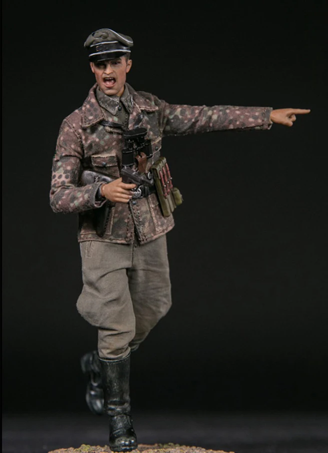 DAMTOYS 1/12 карманная элитная Серия Panzer Division Das Рейх Коллекционная фигурка для фанатов подарок на праздник