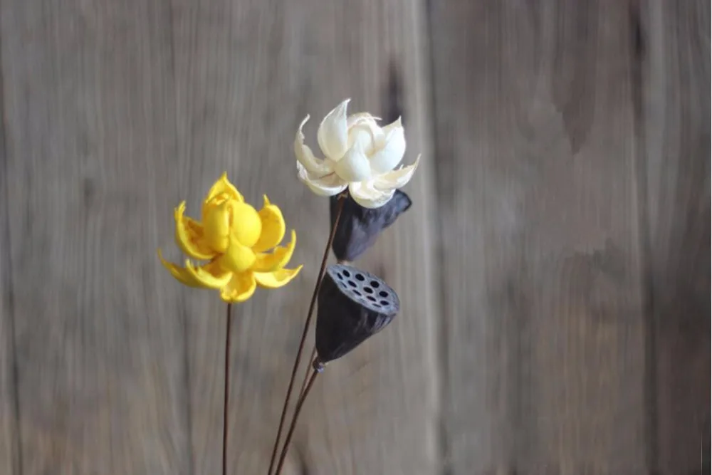 

5pcs White/Yellow Lotus Water Lily Dried Flower For Wedding Party Home Hotel Decoration DIY Bouquet Project Accessory