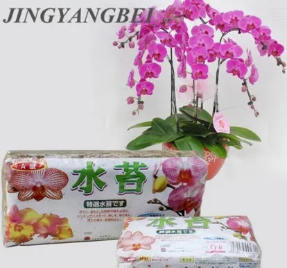 

Natural Moss Garden Supplies Moisturizing Nutrition Organic Fertilizer For Phalaenopsis Orchid Musgo Sphagnum flowerpot deco