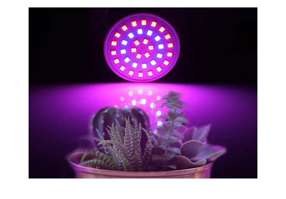 KARWEN светодиодный Grow Light E27/GU10/MR16 220V 36 54 72 светодиодный s Фито лампа полного спектра светодиодный Grow Light освещение для роста растений SMD2835