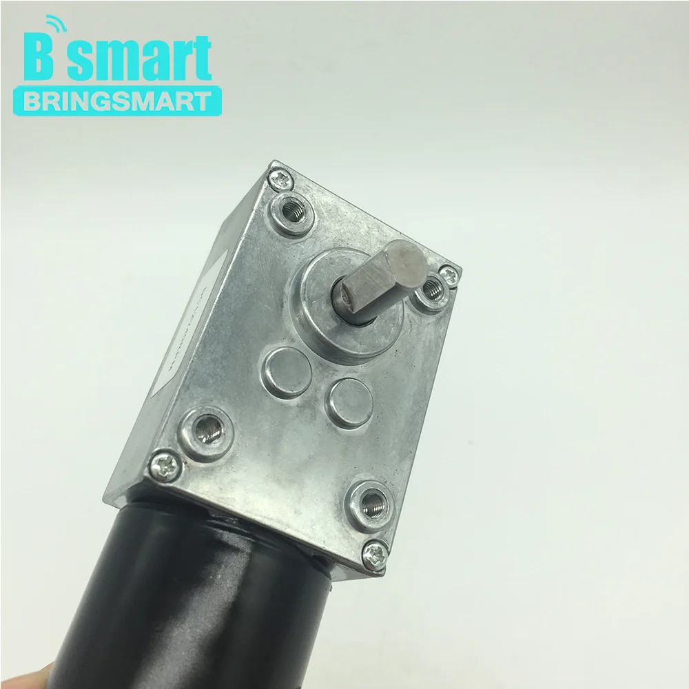Bringsmart 5840-3650 DC мотор-редуктор 12V червь Шестерни мотор 24 бесщеточный электродвигатель постоянного тока с двойным валом мини Шестерни коробка с встроенной функцией спуска затвора тормоз двигателя