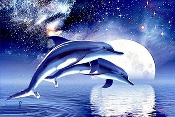 Алмазная вышивка 5D DIY картина пара дельфины море Луна крестиком горный хрусталь