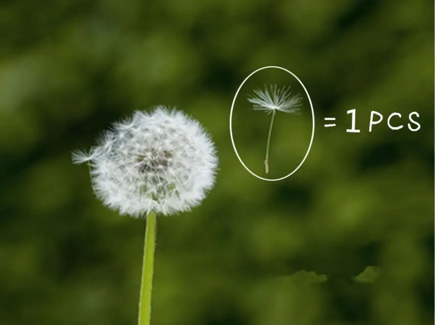 100 шт. мини сушеный Одуванчик для ожерелья с подвеской из эпоксидной смолы