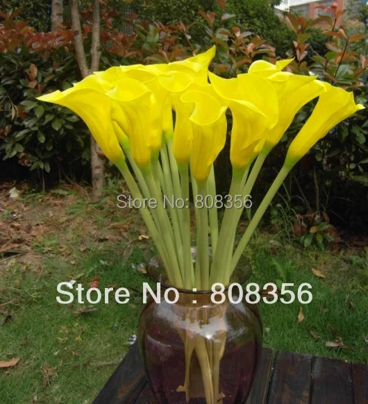 20 шт. настоящие натуральные цветы из искусственной кожи Calla Lily Alocasia Callas 23 62 &quotдля