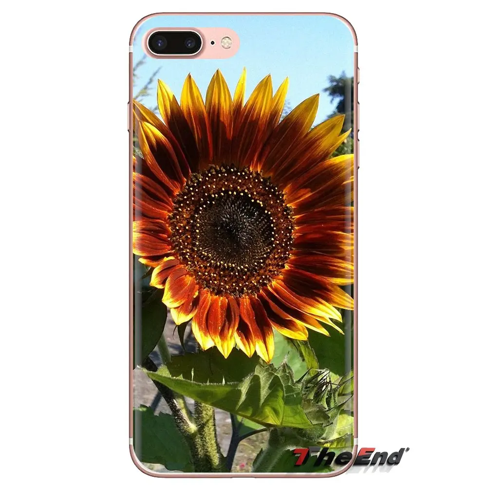 Sunflower Transparent Soft Cases Covers For HTC One U11 U12 X9 M7 M8 A9 M9 M10 E9 Plus Desire 630 530 626 628 816 820 830 |