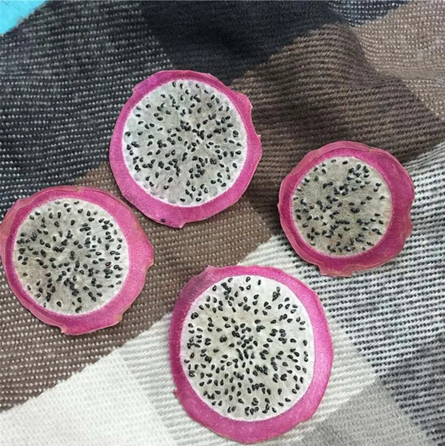 

5pcs Pressed Dried Dragon Fruit Slices Plant Herbarium For Jewelry Postcard Invitation Card Phone Case Bookmark Making DIY