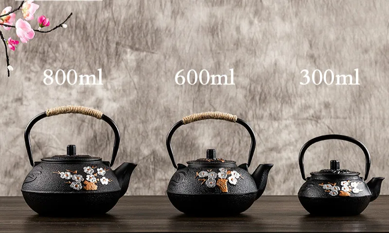 300 мл/600 мл/800 мл чайный горшок Tetsubin чайник Teaware чугунный Набор кофейный