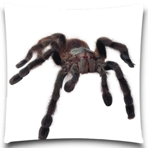 Квадратная наволочка для подушки Beetle/Spider декоративная дома офиса кофе