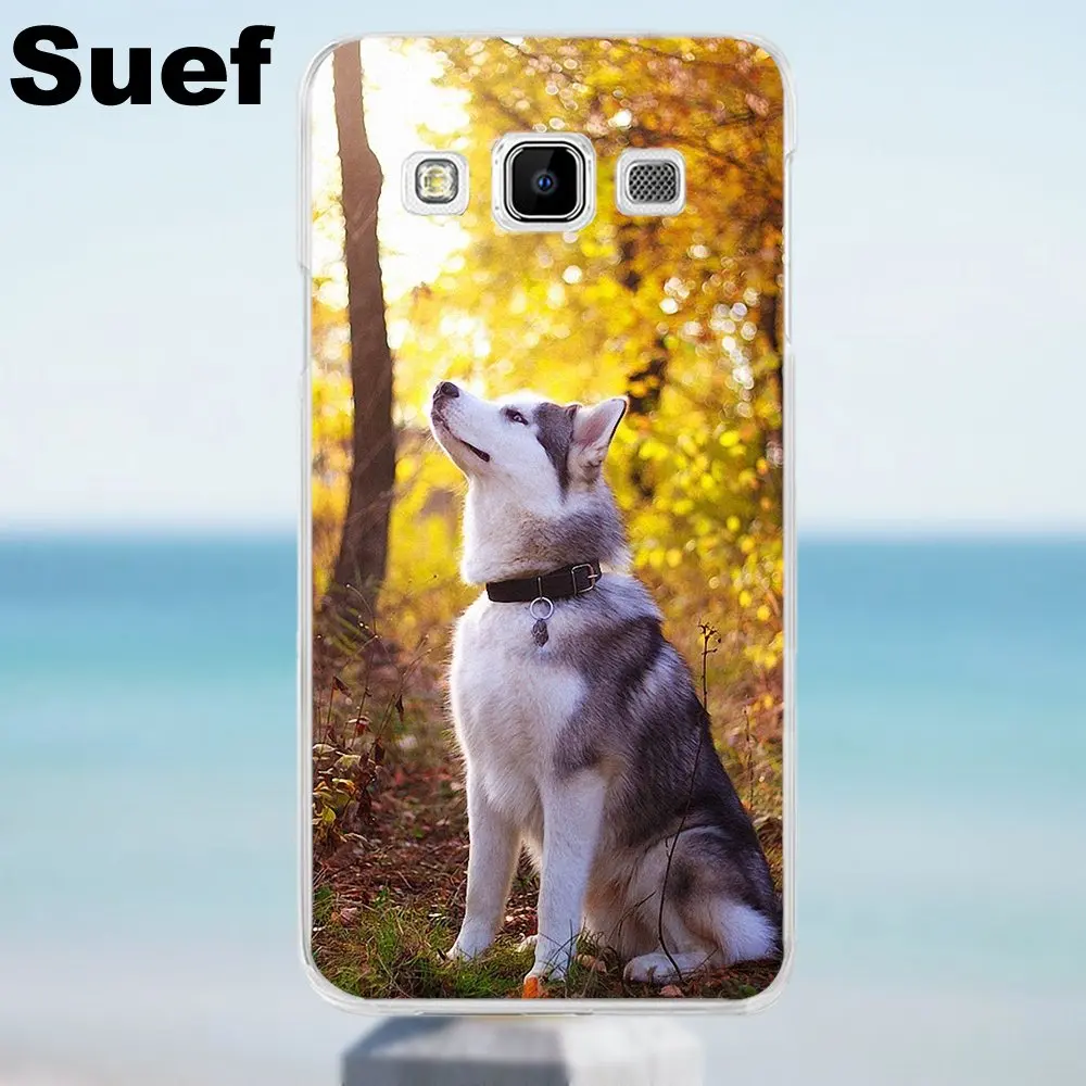 Suef Lovely Dog Siberian Husky Soft TPU Phone Case For Galaxy Alpha Core Prime Note 2 3 4 5 S3 S4 S5 S6 S7 S8 mini edge Plus | Мобильные