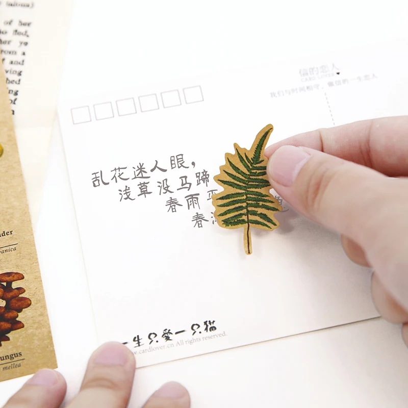 8 шт./лот наклейка из крафт бумаги для обучения фрукты рыба овощи растения