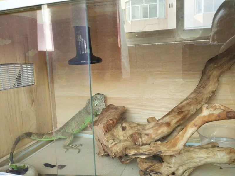 Керамический обогреватель с дальним инфракрасным излучением для домашних