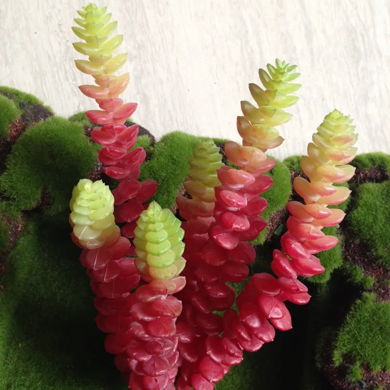 Искусственное растение/Кактус/зелень домашний декор/выглядит реально 2 шт. | Дом и