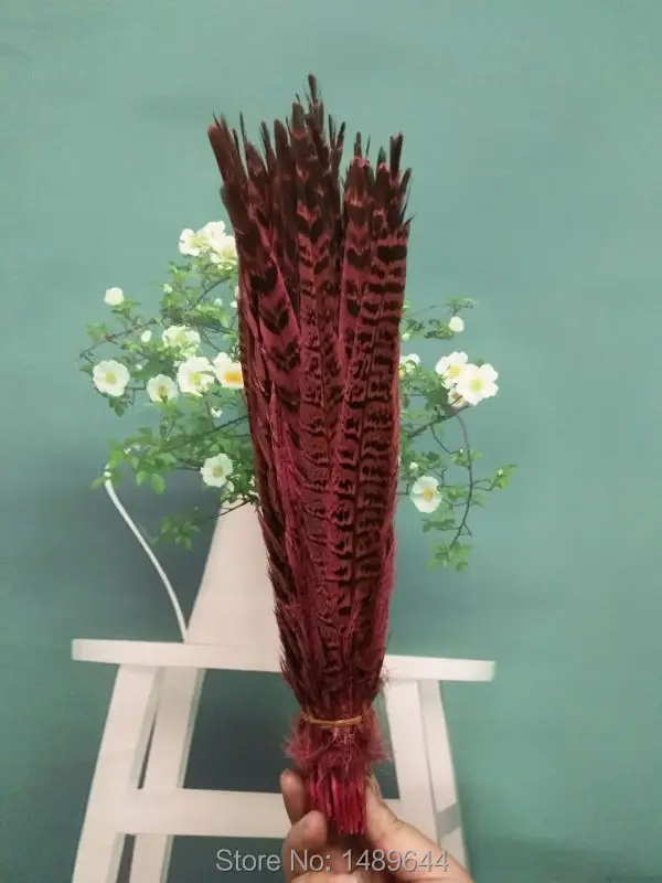 

Wholesale feathers! 100pcs / natural yellow pheasant feathers 27-35 cm / 11-14 inch pheasant feathers clothing accessories