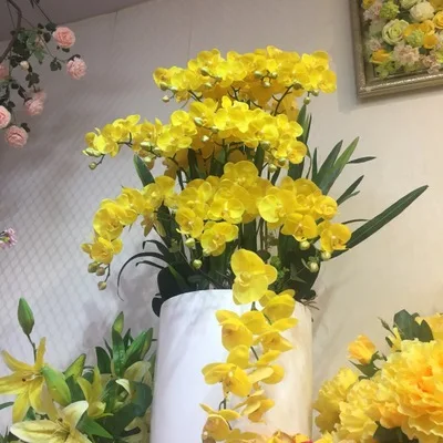 S M L реальный на ощупь гладиолус цимбидиевый гиридус Орхидея лист Уилан цветочный