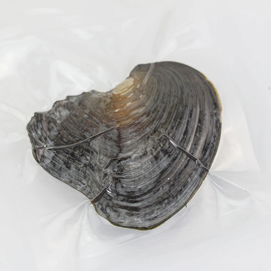 1 шт. 6 8 мм натуральный овальный жемчуг Oysters жемчужная Мидия ювелирное изделие в