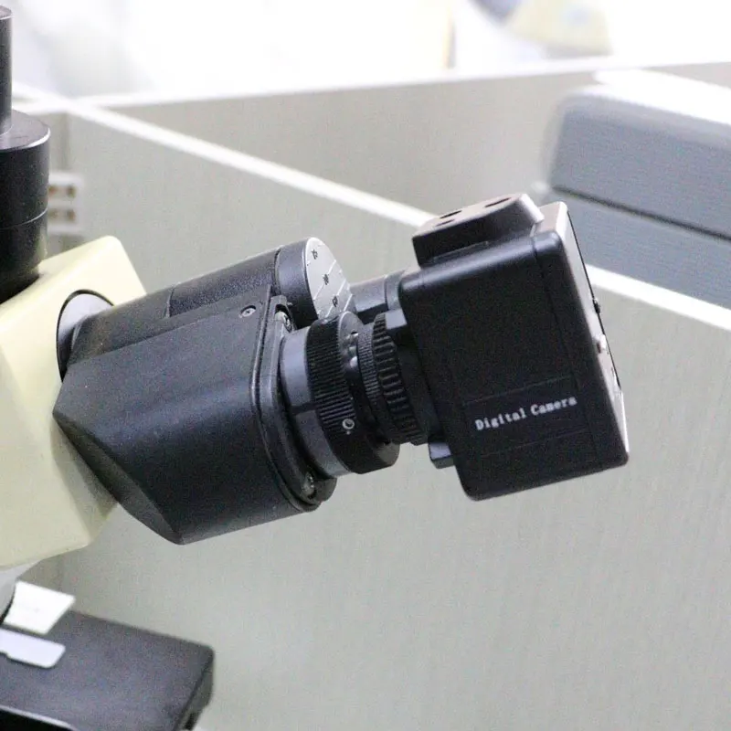5MP CMOS USB микроскоп камера цифровой электронный окуляр Бесплатный драйвер высокоскоростной Биологический микроскоп HD промышленная камера