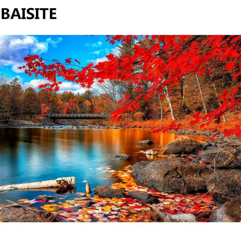 РАСКРАСКА ПО НОМЕРАМ BAISITE "ЦВЕТЫ" В ОБРАМЛЕНИИ ДЛЯ ЖИЛОЙ КОМНАТЫ НАХОДКА НА ХОЛСЕЙЛЕ S003