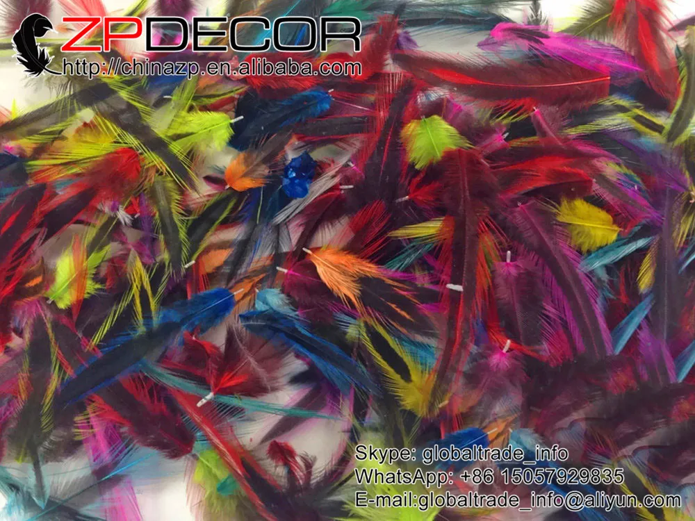 

ZPDECOR 10-15cm 200pieces/lot Beautiful & Unique Feather COLORFUL Mini Laced Hen Cape Feathers for Crafting and Costume Decor