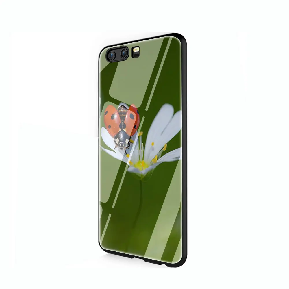 G6 Чехол из закаленного стекла с божьей коровкой и насекомыми для huawei mate P 10 20 30 Lite Pro Y9 Honor 8X 7A - Цвет: G6
