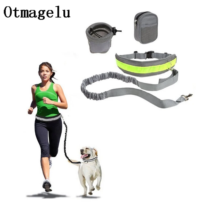 

Elastic Dog Traction Belt Rope Set Dog Leashes Pet Run with Keeper Pets Sport Leash With Belt Reward Bag Debris Storage Bag Kits