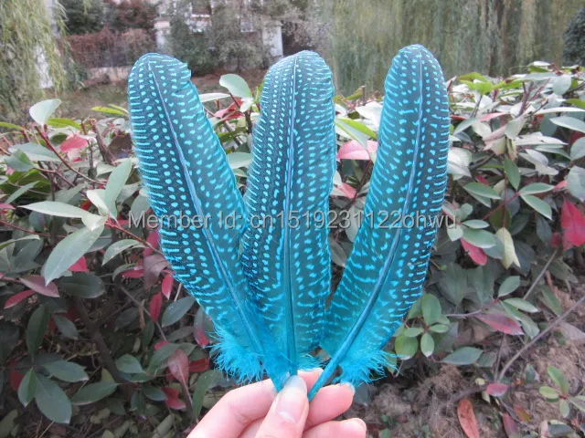 

wholesale 100pcs high quality beatiful blue guinea fowl feather 12-17cm / 5-7inch Decorative diy
