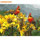 CHENISTORY рамка цветы птицы DIY живопись по номерам настенная живопись Раскраска по номерам полотно ручной работы; Рисунок для дома