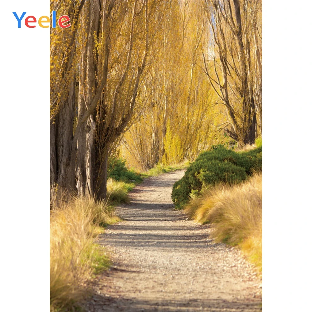 Yeele осенние лесные дороги деревья декорации бульвара фотографии фоны