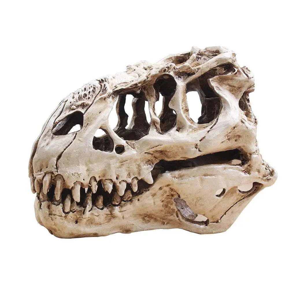 T Rex череп динозавр Смола ремесло подарки Домашний декор Реплика аквариум статуя