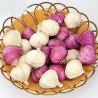 050 simulation of garlic foam fake garlic white skin onion and vegetable 5 56 5cm