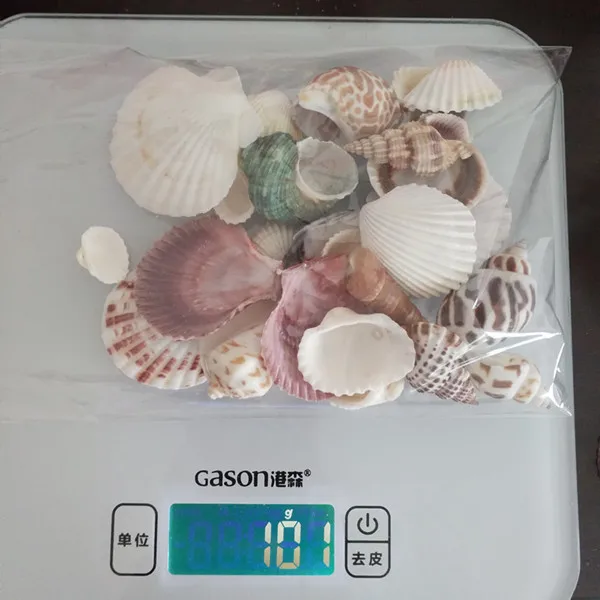 100 г пляжная ракушка Средиземноморский стиль DIY Мода микс натуральные морские раковины для поделок для аквариума декор для аквариума Морская раковина - Цвет: mix style