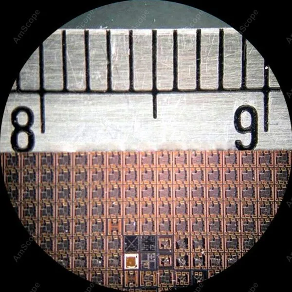 Осветительный микроскоп -- AmScope 40X-1000X беспроводной светодиодный верхний и нижний