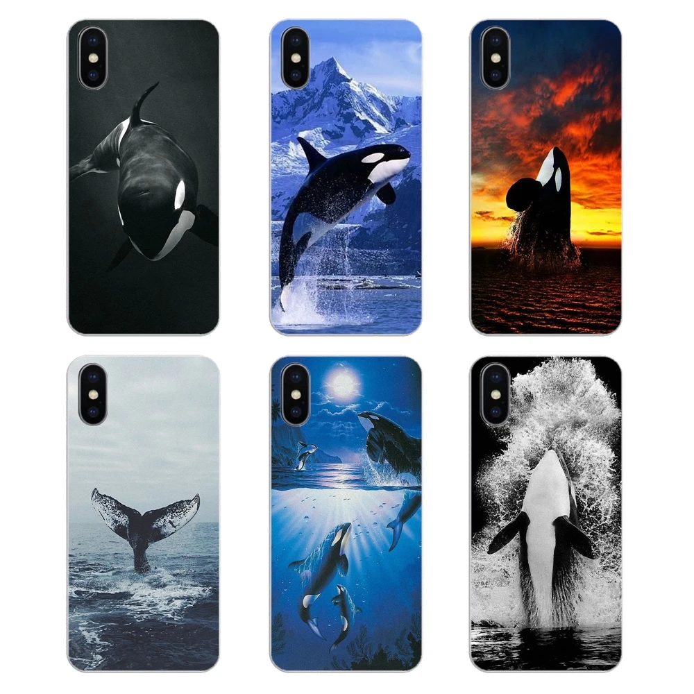 Силиконовый чехол для телефона Killer Whale Orca случайное вдохновение Apple iPhone 4 4S 5 5S 5C SE 6