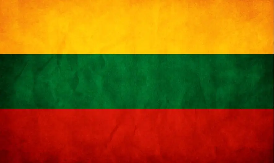 Кафник на заказ в литовском стиле старый флаг государственный ретро 14*21 см/30*45
