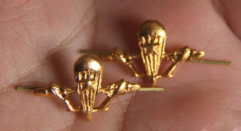 Пара оригинальных российских десантников воздушно десантные силы медаль