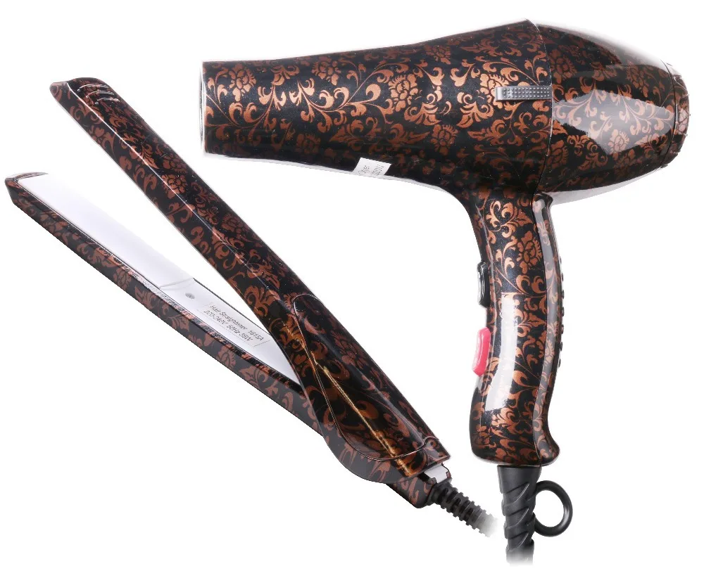 Продажа Новый 2 Шт. 2200 Вт Европейский Профессиональный Фен Выпрямитель