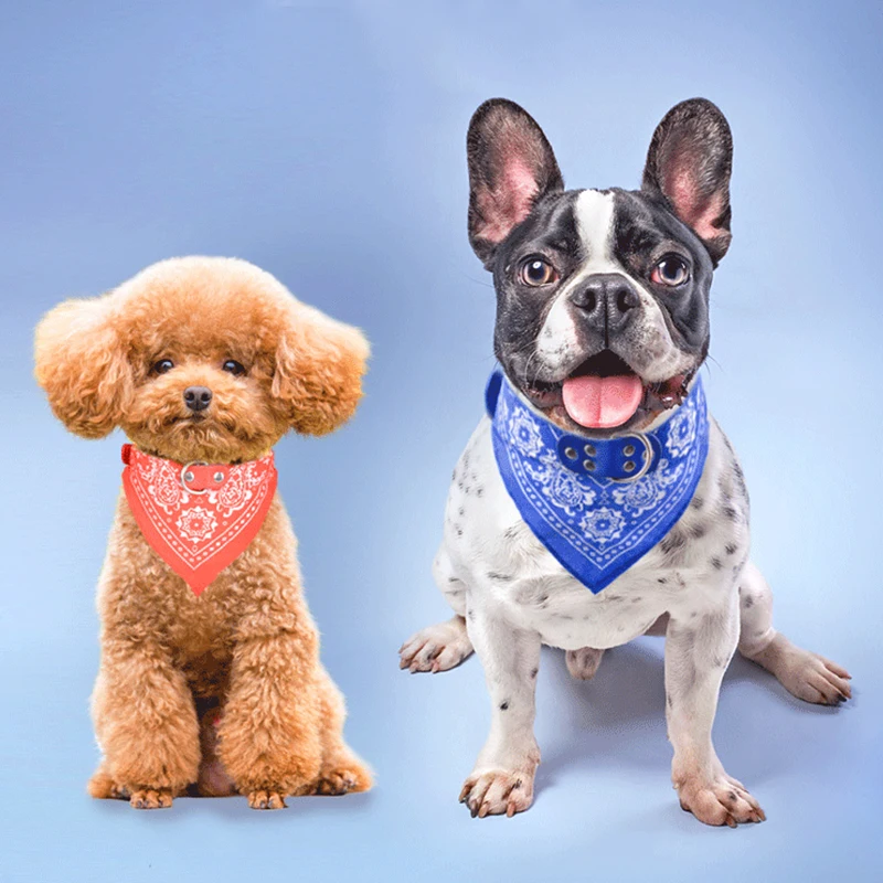 Ошейник на заказ аксессуары для домашних животных 7 цветов модный ошейник собак