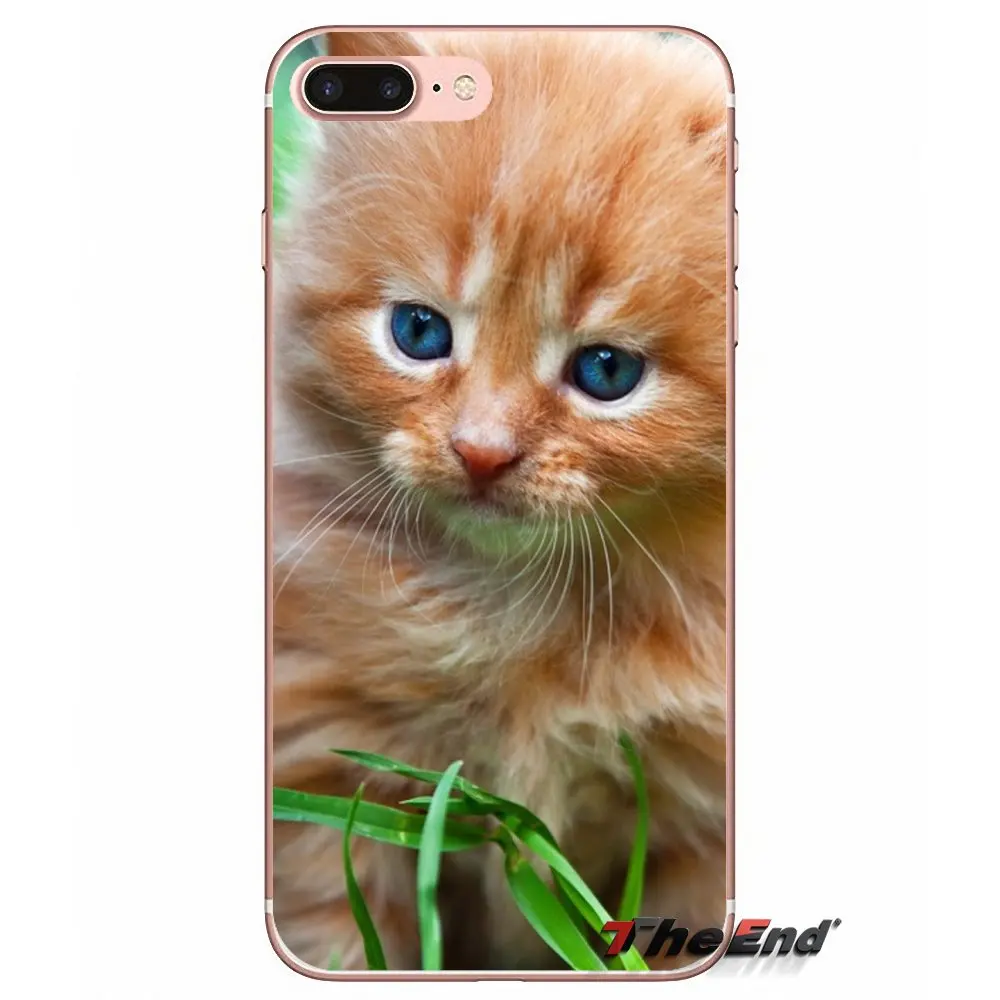 Забавные аксессуары для кошек чехлы телефонов Чехлы iPhone X 4 4S 5 5S 5C SE 6 6S 7 8 Plus Samsung