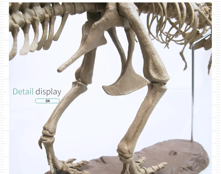 Моделирование 4D собранная модель большой тираннозавр рекс Fossil животная модель Diy обучающие игрушки для детей динозавр модель