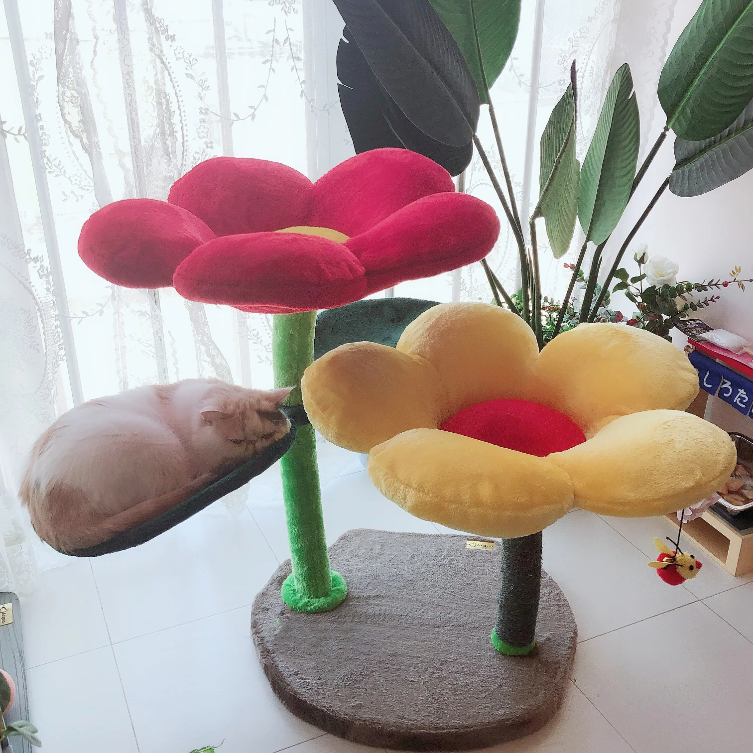 Кошачье счастье так же красочно, как цветы кошка башня Цвет цветок кошка дерево когтеточка так мило