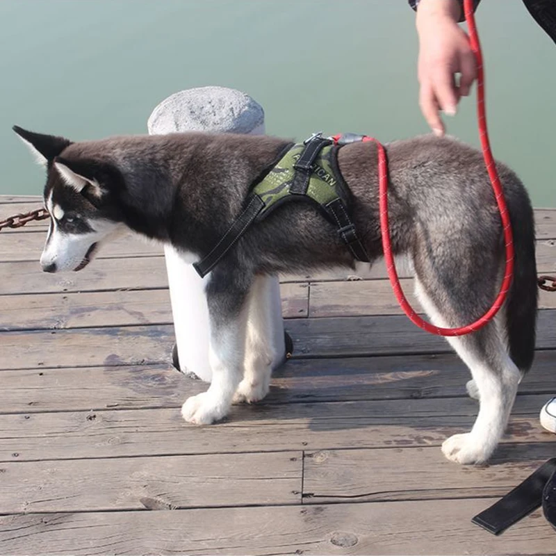 Поводок для собаки эластичный пояс груди воздухопроницаемой сеткой большой
