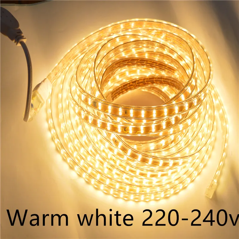 

AC220-240V led Strip light lamp IP65 Waterproof SMD 60,120,156,1801leds/m LED tape flexible Tape For outdoor garden lighting