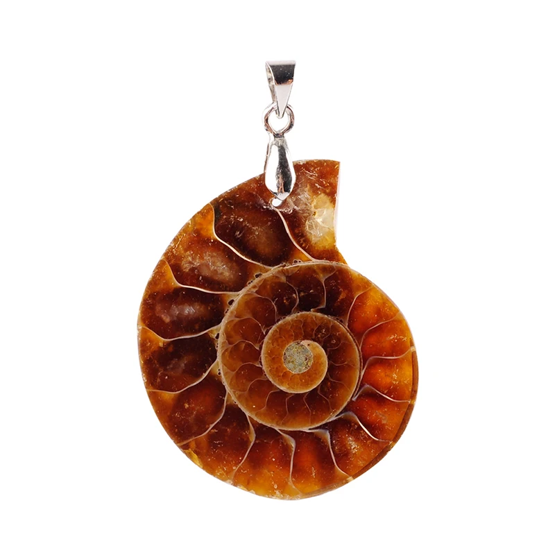 Модные ювелирные изделия натуральный аммонит осколочные ракушки морская