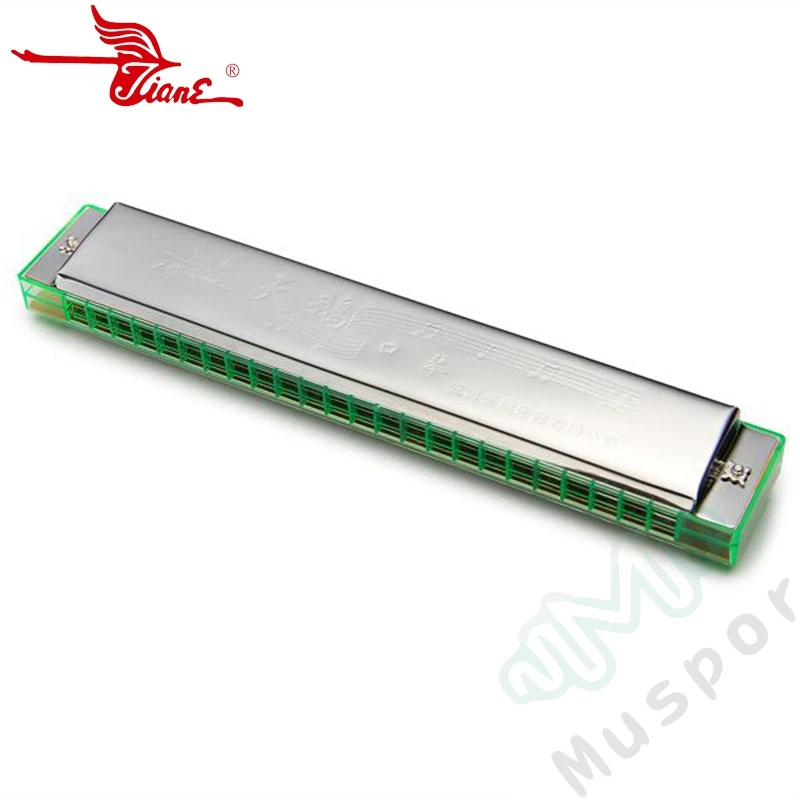 Лебедь 24 Отверстия двойной тремоло настроенная Губная гармошка Ключ C дети