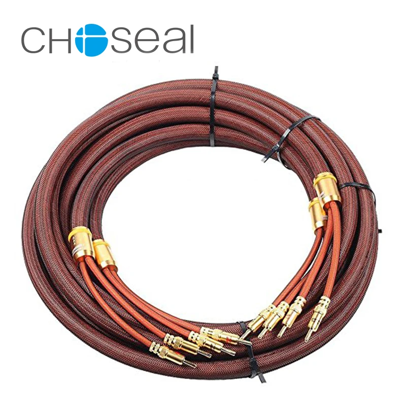 Choseal 30 юбилей LB5109 8.2FT OCC Разъем типа &quotбанан&quot Высококачественный кабель для hi fi
