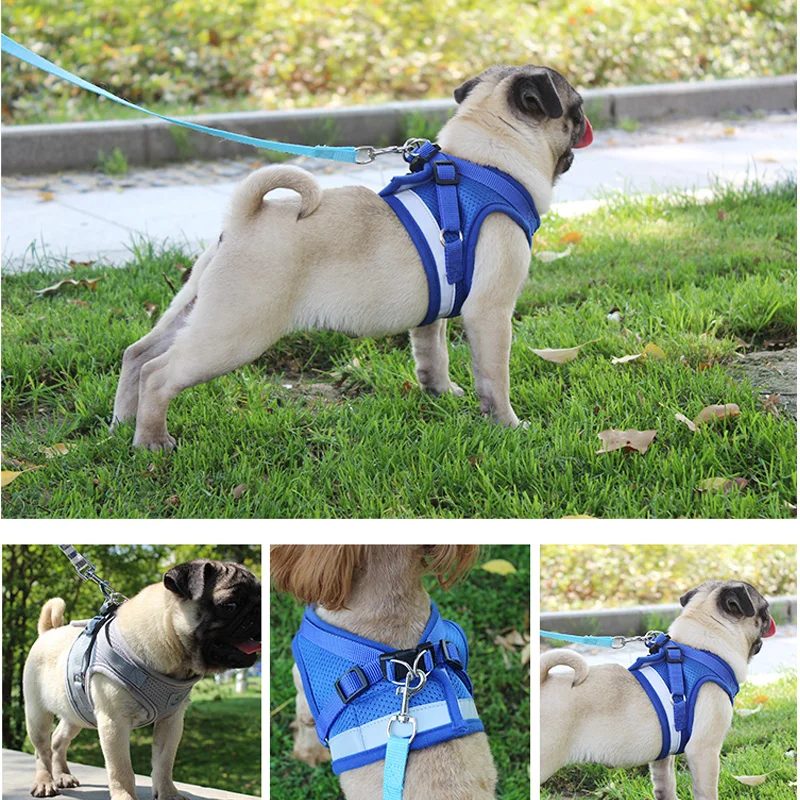 Шлейка-поводок для собак и кошек регулируемый светоотражающий жилет шлейка