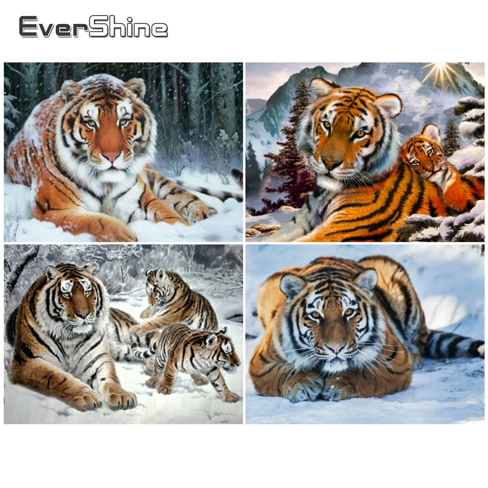 EverShine 5D DIY Алмазная картина с тигром полностью круглые стразы алмазные мозаичные Животные вышивка крестиком Алмазная вышивка Настенный декор