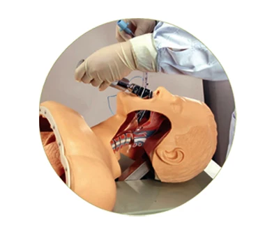 Тренажер для эндотрахеальной интубации класса люкс модель тренировок воздушной